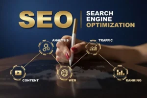 شركة سيو بالرياض